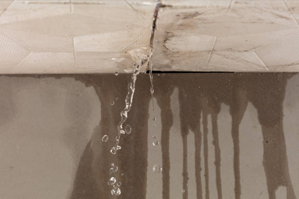Professional Burst Pipe Cleanup technician working in Mantorville, MN